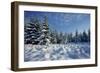 Winter Landscape with Spruce Woodland and Snow-null-Framed Photographic Print