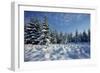 Winter Landscape with Spruce Woodland and Snow-null-Framed Photographic Print