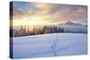 Winter Landscape with Sunrise in the Mountains, Path in the Snow, Carpathians, Ukraine, Europe-Kotenko-Stretched Canvas