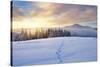 Winter Landscape with Sunrise in the Mountains, Path in the Snow, Carpathians, Ukraine, Europe-Kotenko-Stretched Canvas