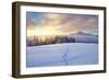 Winter Landscape with Sunrise in the Mountains, Path in the Snow, Carpathians, Ukraine, Europe-Kotenko-Framed Photographic Print