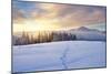 Winter Landscape with Sunrise in the Mountains, Path in the Snow, Carpathians, Ukraine, Europe-Kotenko-Mounted Photographic Print