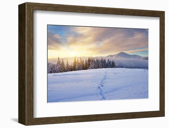 Winter Landscape with Sunrise in the Mountains, Path in the Snow, Carpathians, Ukraine, Europe-Kotenko-Framed Photographic Print