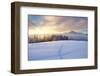 Winter Landscape with Sunrise in the Mountains, Path in the Snow, Carpathians, Ukraine, Europe-Kotenko-Framed Photographic Print