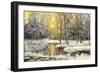 Winter Landscape With The Wood River-balaikin2009-Framed Art Print