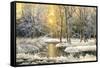 Winter Landscape With The Wood River-balaikin2009-Framed Stretched Canvas