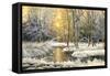 Winter Landscape With The Wood River-balaikin2009-Framed Stretched Canvas