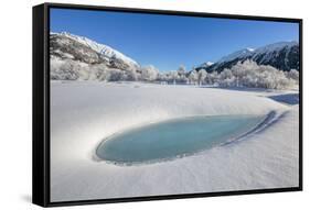 Winter landscape with trees covered in hoarfrost and frozen pond. Celerina, Engadin, Graubunden, Sw-ClickAlps-Framed Stretched Canvas