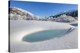 Winter landscape with trees covered in hoarfrost and frozen pond. Celerina, Engadin, Graubunden, Sw-ClickAlps-Stretched Canvas