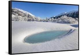 Winter landscape with trees covered in hoarfrost and frozen pond. Celerina, Engadin, Graubunden, Sw-ClickAlps-Framed Stretched Canvas