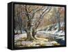 Winter Landscape With Wood And The River-balaikin2009-Framed Stretched Canvas