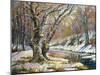 Winter Landscape With Wood And The River-balaikin2009-Mounted Art Print