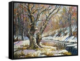 Winter Landscape With Wood And The River-balaikin2009-Framed Stretched Canvas