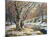 Winter Landscape With Wood And The River-balaikin2009-Mounted Art Print