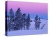 Winter Landscape, Yellowstone National Park, Unesco World Heritage Site, Wyoming, USA-Colin Brynn-Stretched Canvas