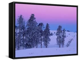 Winter Landscape, Yellowstone National Park, Unesco World Heritage Site, Wyoming, USA-Colin Brynn-Framed Stretched Canvas