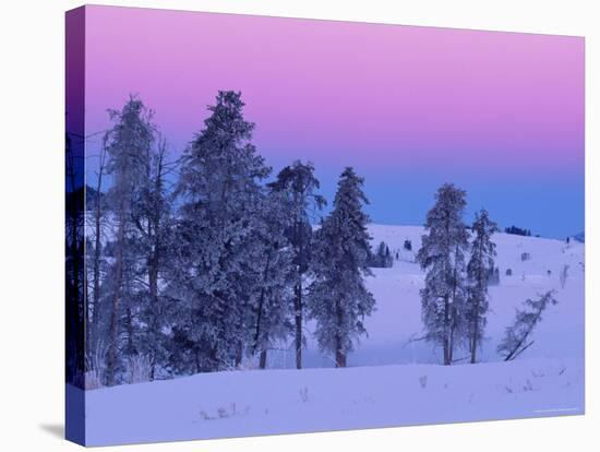 Winter Landscape, Yellowstone National Park, Unesco World Heritage Site, Wyoming, USA-Colin Brynn-Stretched Canvas