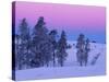 Winter Landscape, Yellowstone National Park, Unesco World Heritage Site, Wyoming, USA-Colin Brynn-Stretched Canvas