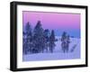 Winter Landscape, Yellowstone National Park, Unesco World Heritage Site, Wyoming, USA-Colin Brynn-Framed Photographic Print