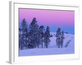 Winter Landscape, Yellowstone National Park, Unesco World Heritage Site, Wyoming, USA-Colin Brynn-Framed Photographic Print