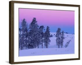 Winter Landscape, Yellowstone National Park, Unesco World Heritage Site, Wyoming, USA-Colin Brynn-Framed Photographic Print