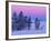 Winter Landscape, Yellowstone National Park, Unesco World Heritage Site, Wyoming, USA-Colin Brynn-Framed Photographic Print