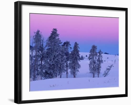 Winter Landscape, Yellowstone National Park, Unesco World Heritage Site, Wyoming, USA-Colin Brynn-Framed Photographic Print