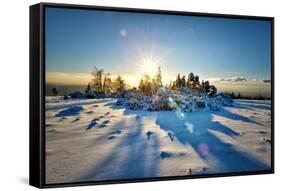 Winter Landscape-Andreas Brandl-Framed Stretched Canvas