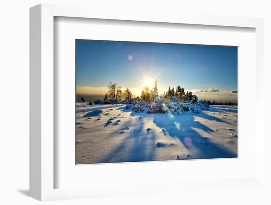 Winter Landscape-Andreas Brandl-Framed Photographic Print