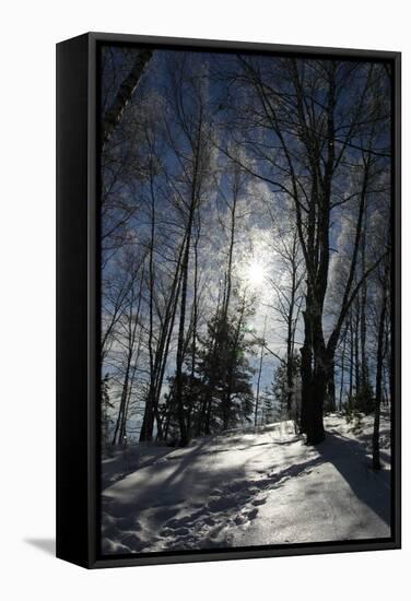 Winter Landscape-kovalvs-Framed Stretched Canvas