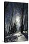 Winter Landscape-kovalvs-Stretched Canvas