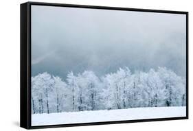 Winter Landscape-silver-john-Framed Stretched Canvas
