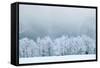 Winter Landscape-silver-john-Framed Stretched Canvas