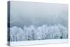 Winter Landscape-silver-john-Stretched Canvas
