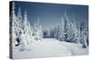Winter Landscape-Kotenko-Stretched Canvas