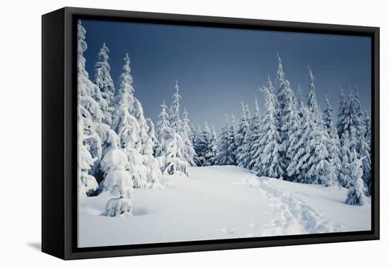 Winter Landscape-Kotenko-Framed Stretched Canvas