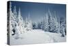 Winter Landscape-Kotenko-Stretched Canvas