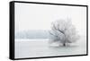 Winter Landscape-geanina bechea-Framed Stretched Canvas