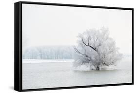 Winter Landscape-geanina bechea-Framed Stretched Canvas