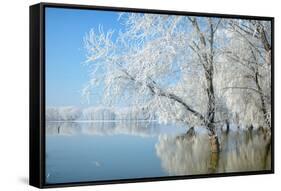 Winter Landscape-geanina bechea-Framed Stretched Canvas