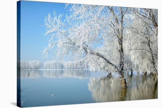 Winter Landscape-geanina bechea-Stretched Canvas