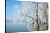 Winter Landscape-geanina bechea-Stretched Canvas
