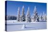 Winter Landscape-JanPietruszka-Stretched Canvas