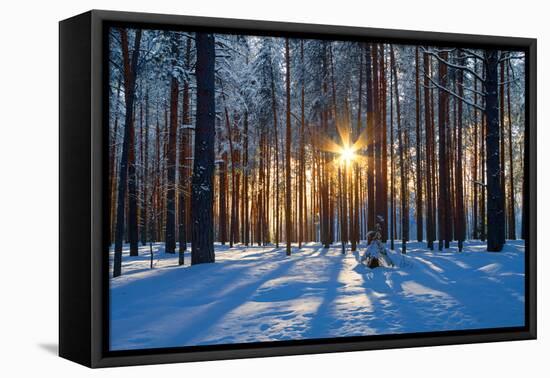 Winter Landscape-Yanika-Framed Stretched Canvas