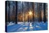 Winter Landscape-Yanika-Stretched Canvas