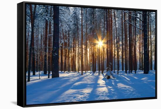Winter Landscape-Yanika-Framed Stretched Canvas