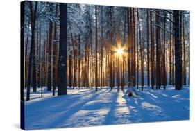 Winter Landscape-Yanika-Stretched Canvas