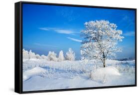 Winter Landscape-Yanika-Framed Stretched Canvas