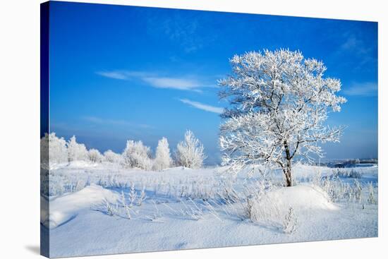 Winter Landscape-Yanika-Stretched Canvas