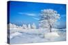 Winter Landscape-Yanika-Stretched Canvas